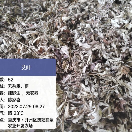 重庆市艾叶