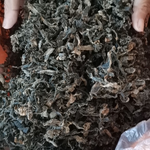 单县花菜叶子梅干菜已蒸，打架子自然日光凉晒，九成干，干净卫生。