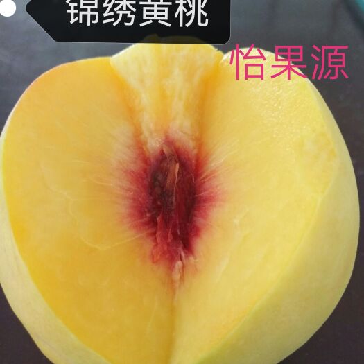 松滋市[爱心][爱心][爱心]锦绣黄桃已成熟[勾引]