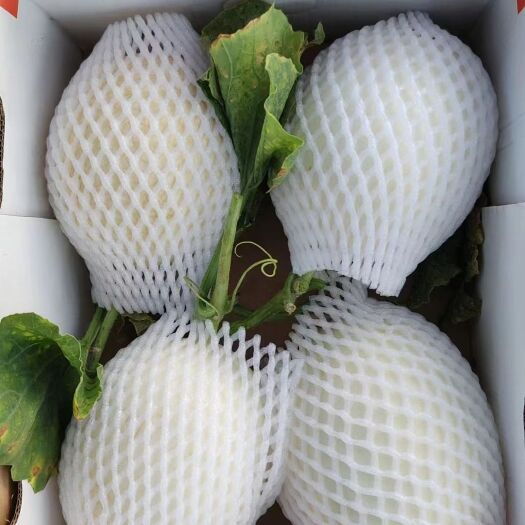 大荔县白金蜜