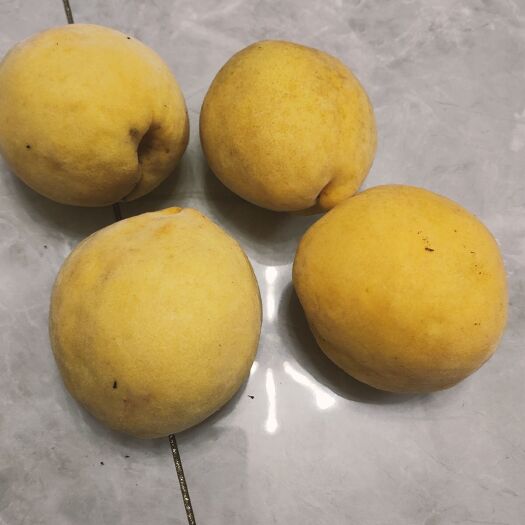 桃源县湖南常德桃源黄桃