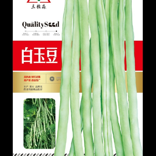 平罗县蔬菜种子
