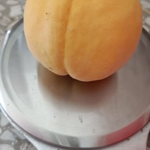 阜阳黄金桃和锦绣黄桃陆续上市，预售