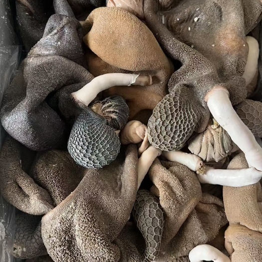阳信县全套全熟羊杂  羊脸，羊肚，羊肠，羊心肝肺