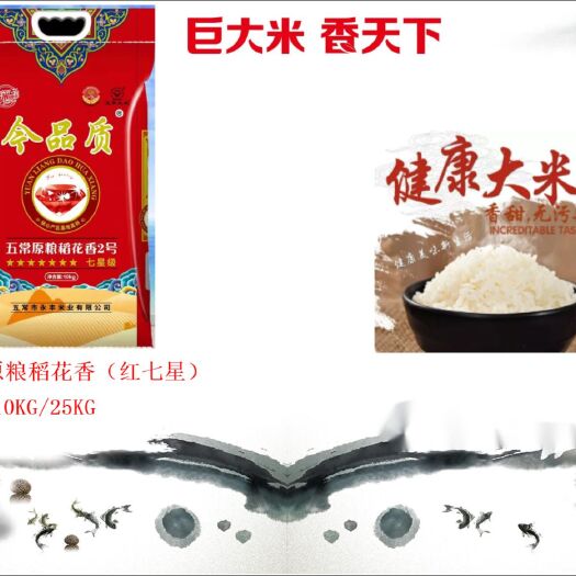 贵阳巨大系列