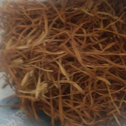 湖南祁东黄花菜