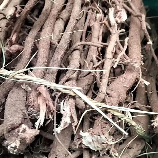 双柏县千斤拔干条，现货1.5吨，产地双柏