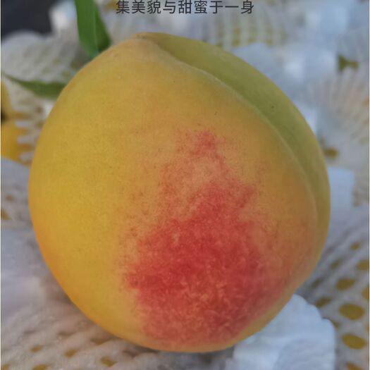 孝感锦绣黄桃