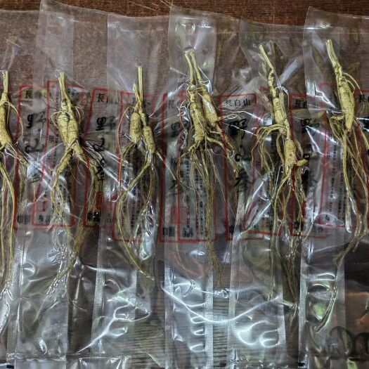 通化林下参