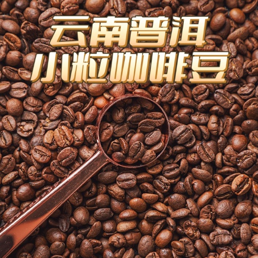 思茅包邮～云南普洱小粒咖啡豆中度重度烘焙咖啡粒