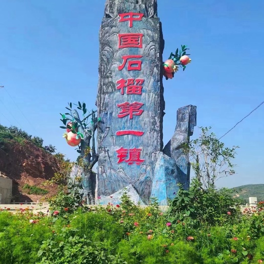 会理市会理软籽石榴
