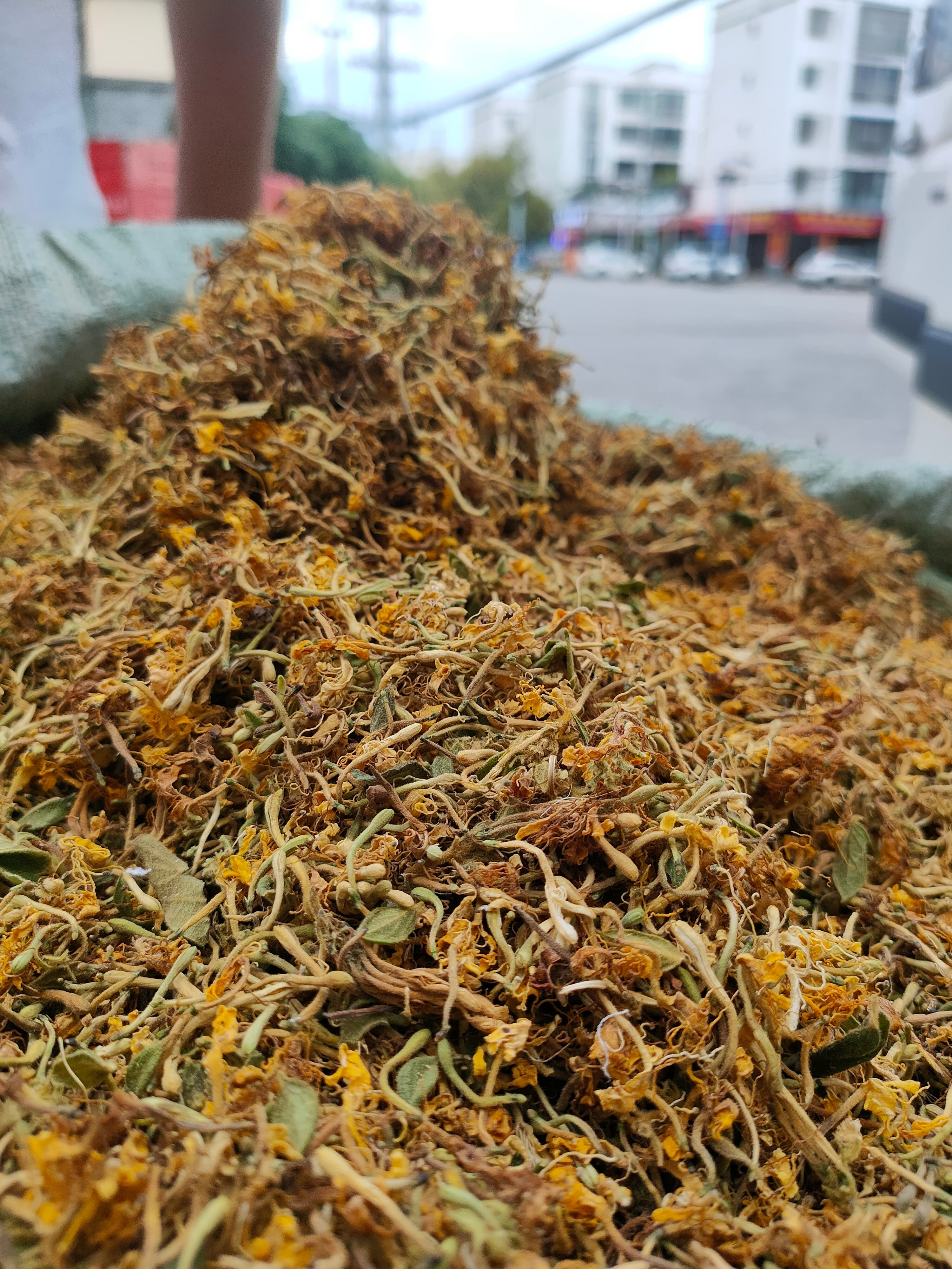 金银花纯花，太阳晒干，颜色漂亮，花香怡人，无硫