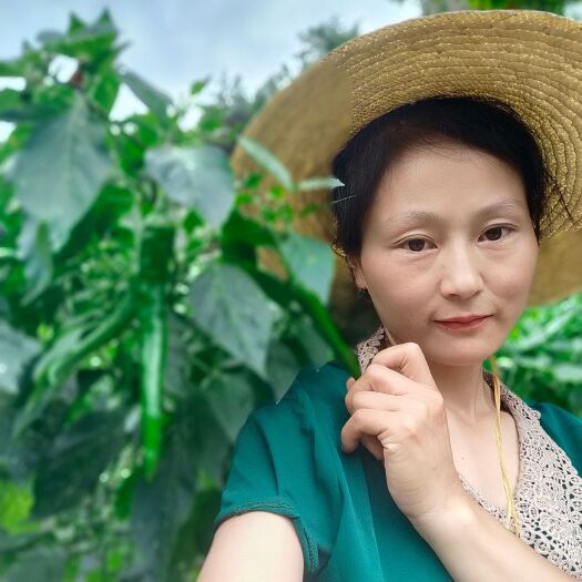 慈利县辣椒