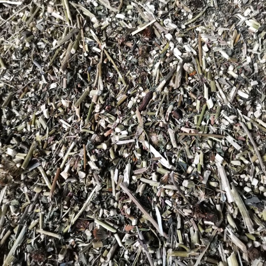 紫锥菊烘干打包
