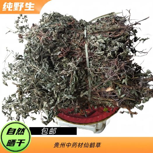 紫云县中药材仙鹤草