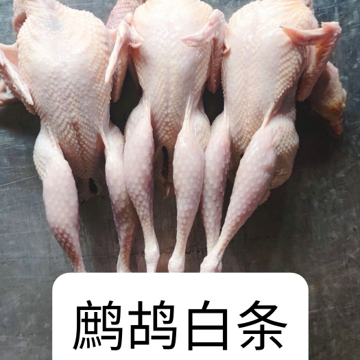 鹧鸪飞龙嘎啦鸡呱呱鸡白条，规格齐全价格最低