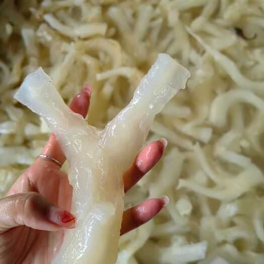 成都水发牛蹄筋主筋火锅食材批发火锅店商用牛筋
