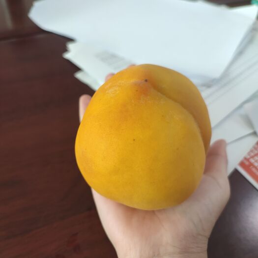嵊州市美味的黄桃。