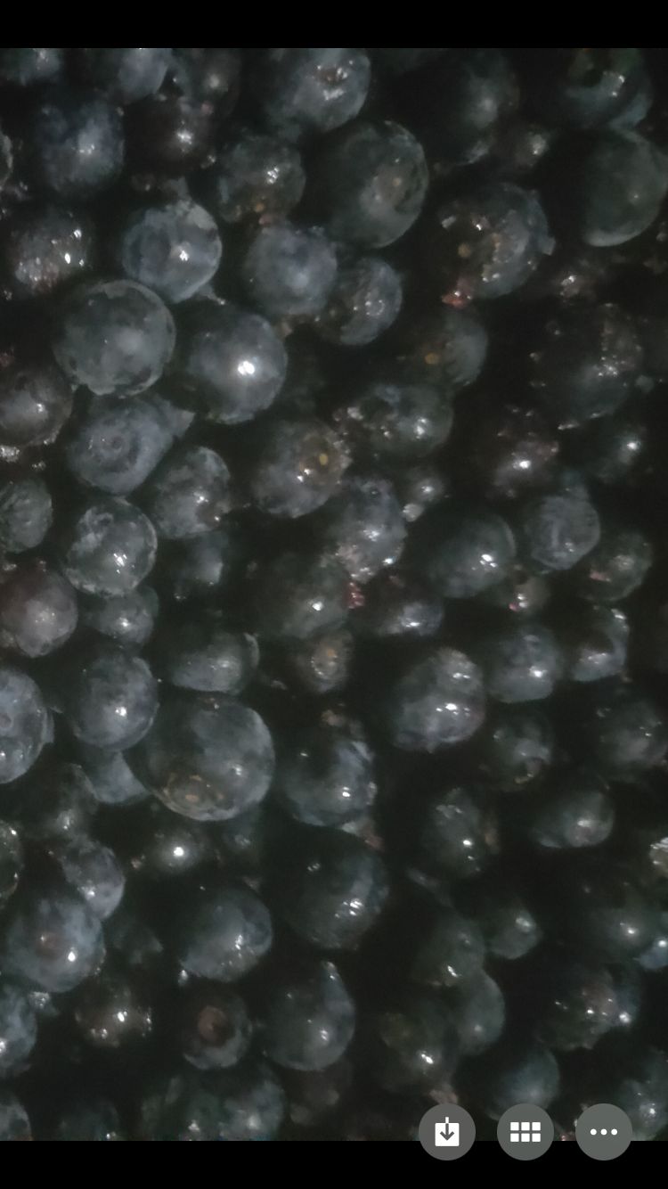 玉溪蓝莓冻果