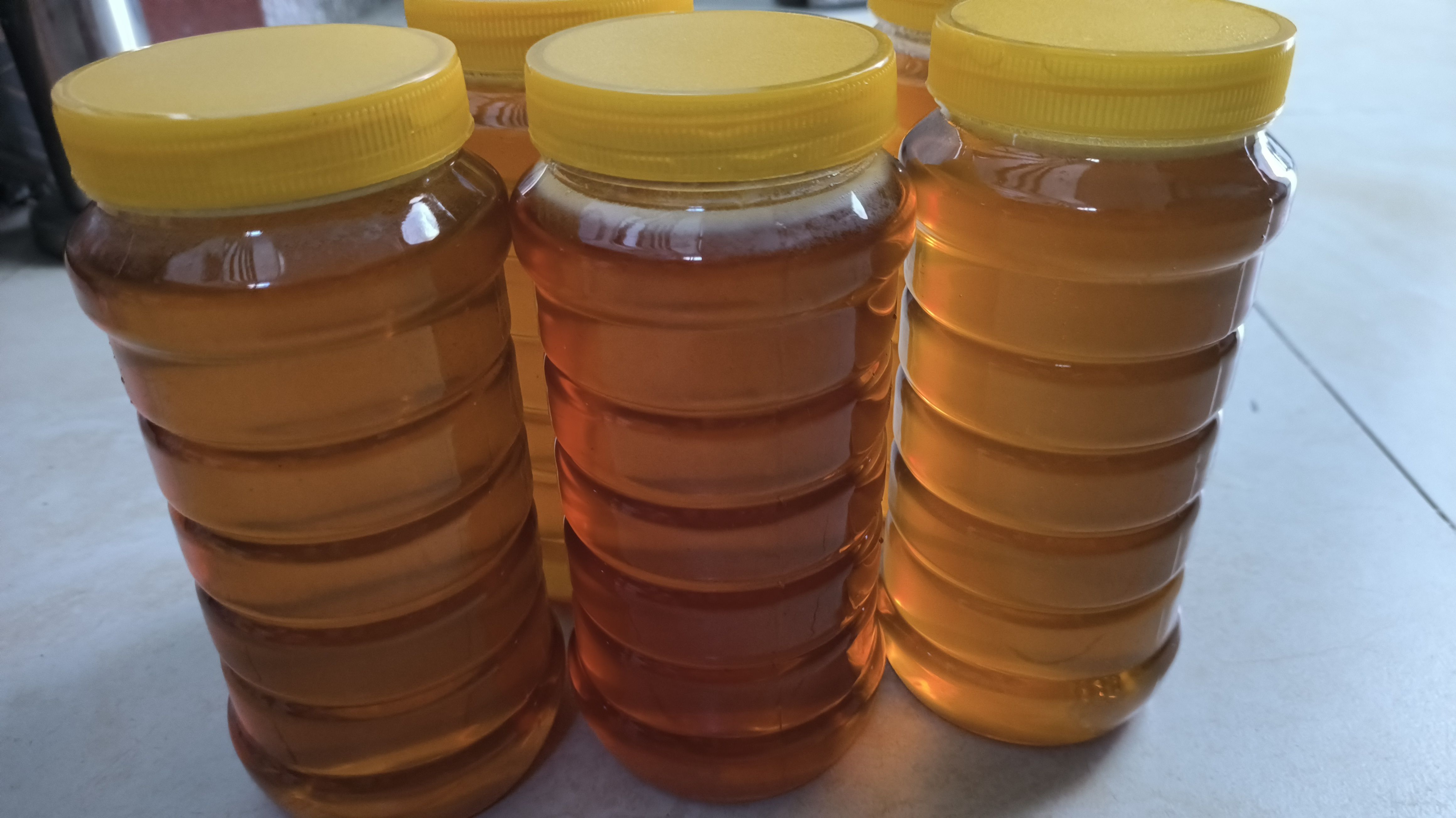 真蜜纯正天然广东河源万绿湖水库内农家自产深山土蜂蜜蜜糖