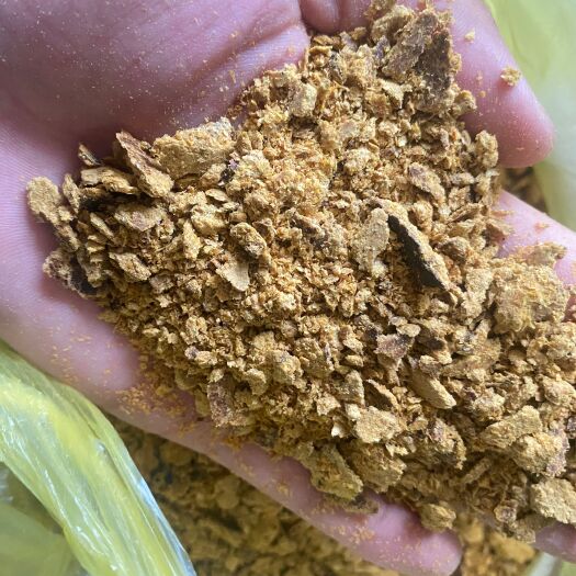 石家庄玉米胚芽油饼，蛋白14-17，脂肪8-12