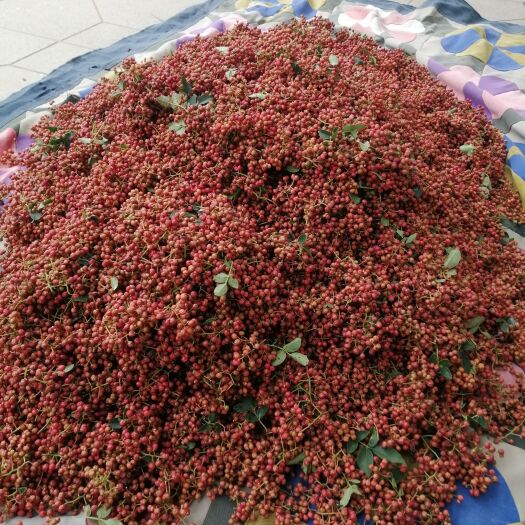 平顺县毛花椒