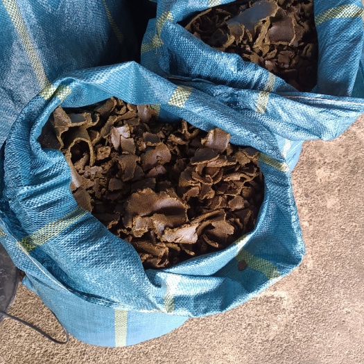 耿马县油菜枯