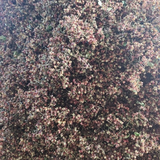 芮城县大红袍花椒
