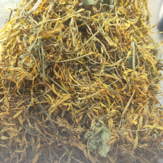 岩黄连花穗