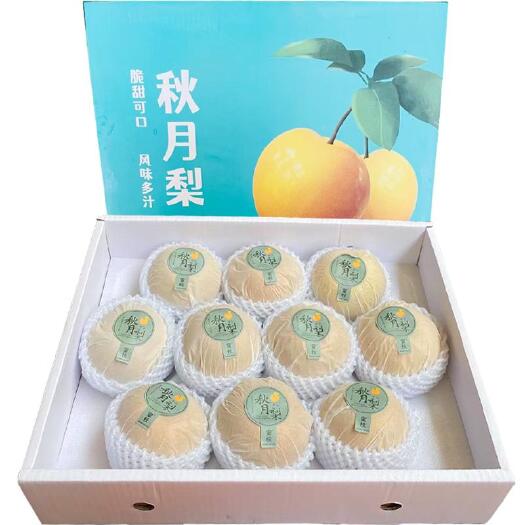 砀山县精品秋月梨