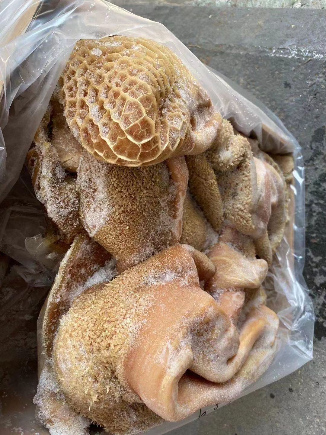 国产牛肚