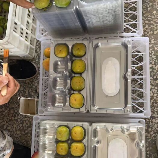 大荔县柿子