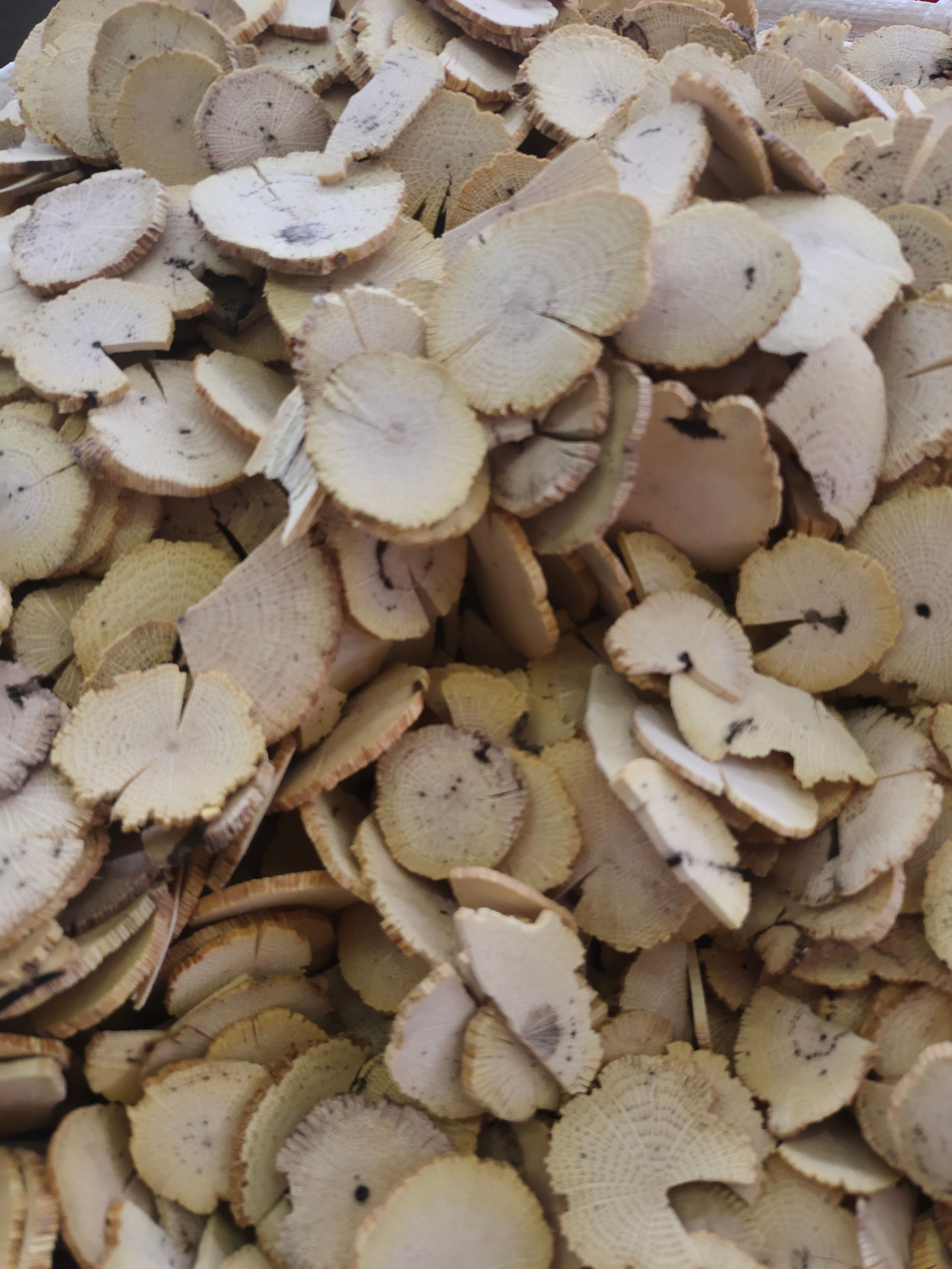 公斤 木通片 正品木通川木通 多种规格 现货供应大量批发