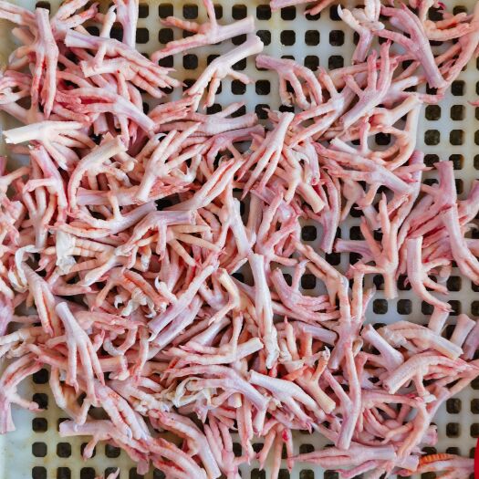 白鸽脚白鸽爪饭堂煲例汤营养不油腻量大又平宜