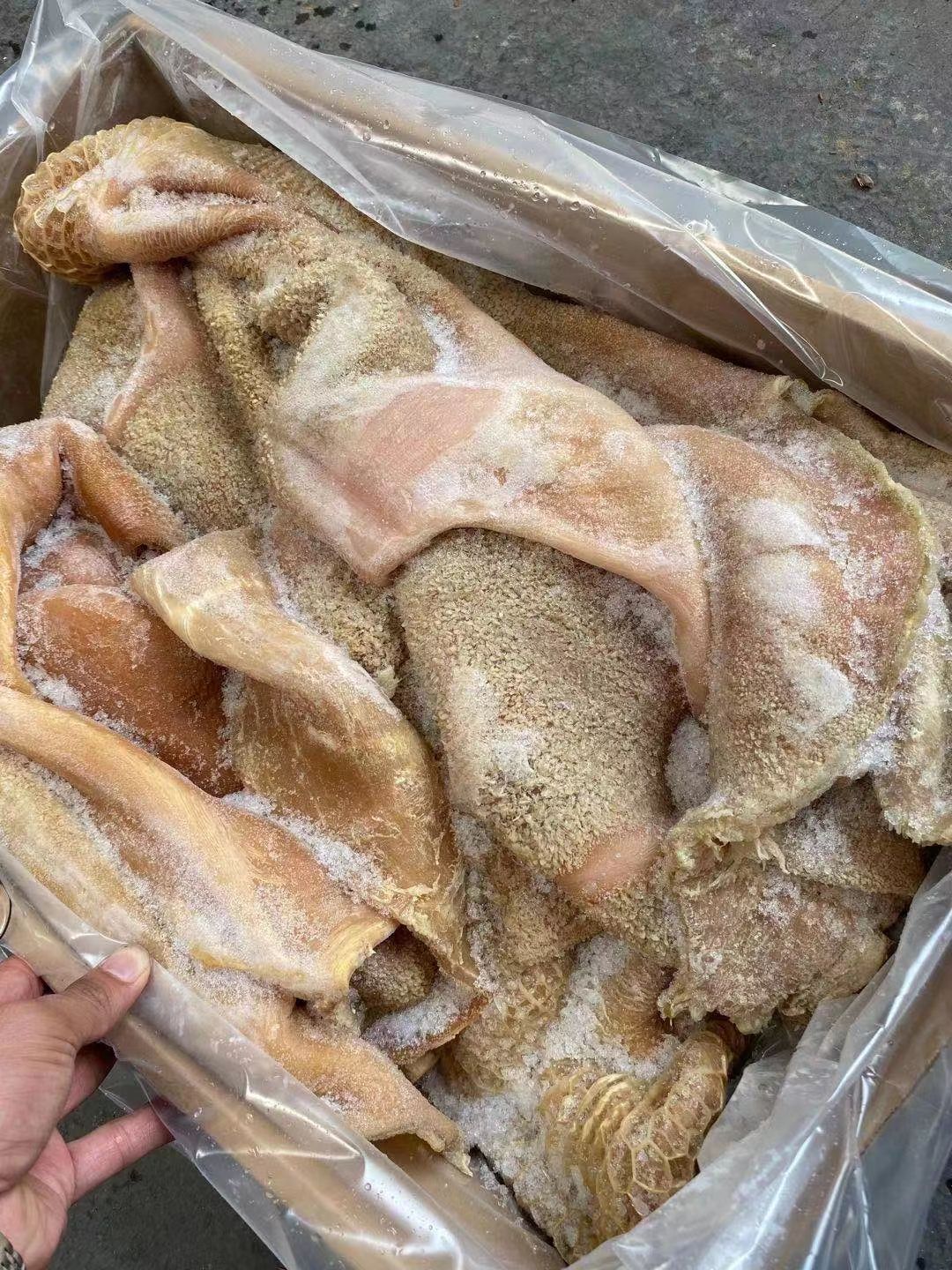 国产牛肚