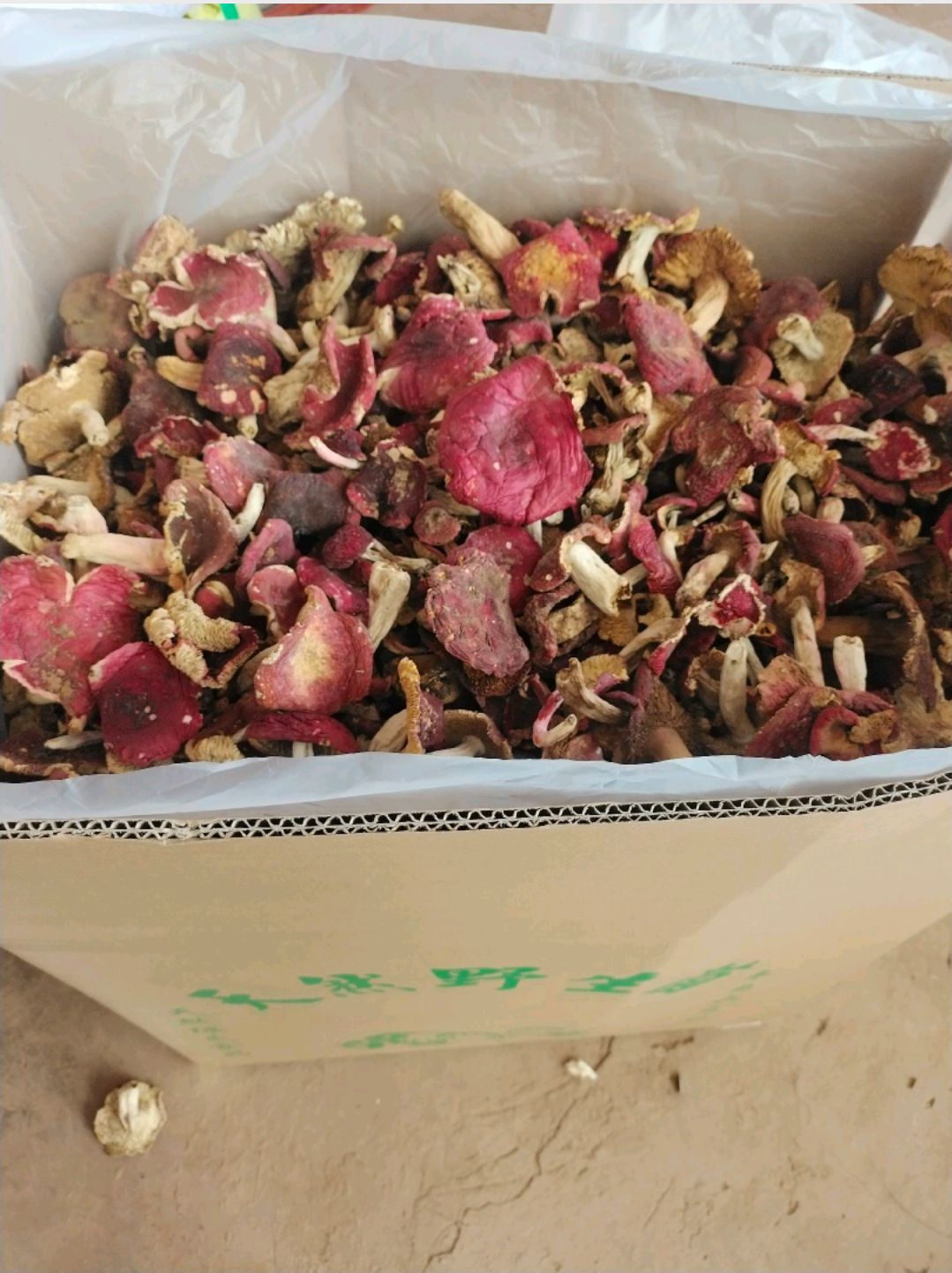 红菇（月子菇，红菇）红菇源产地批发属于源头货一首货源挑选货