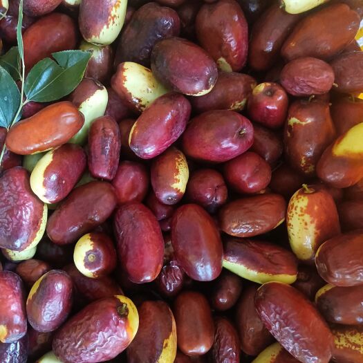 银川宁夏大枣，大，甘甜，口感不错