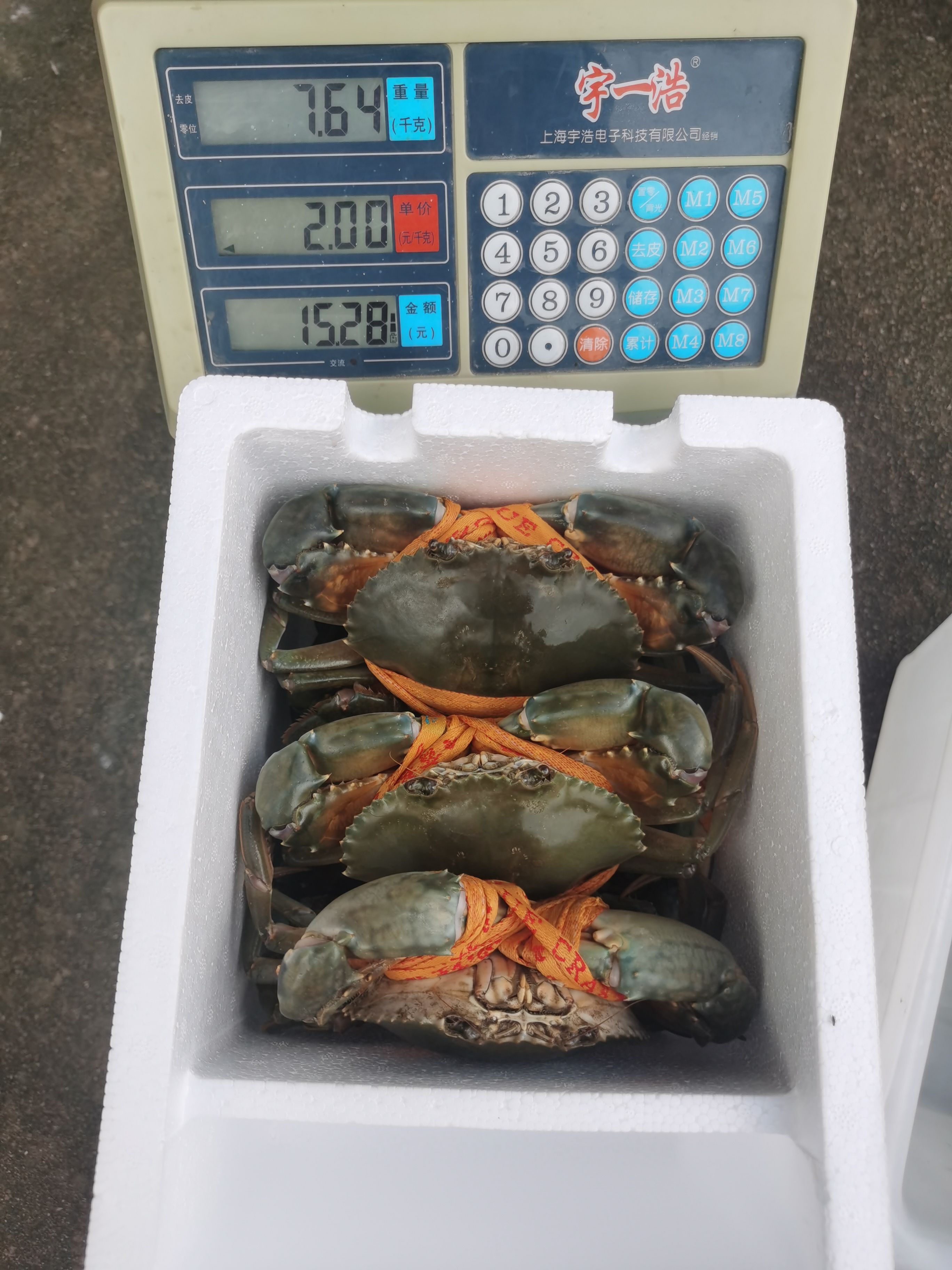 三门青蟹自产自销