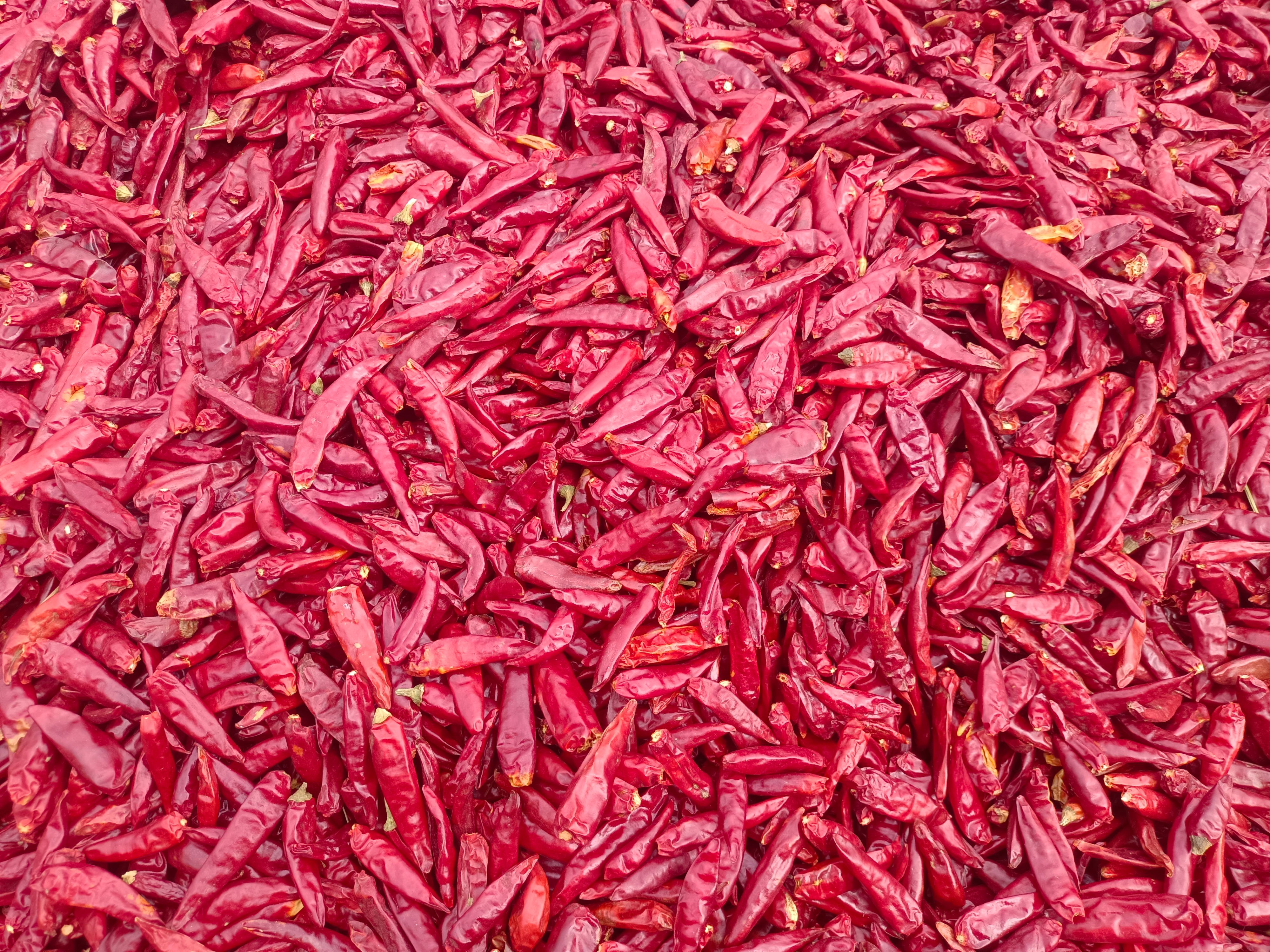 河南三樱椒，新一代干辣椒精品通货产地直销全国包邮