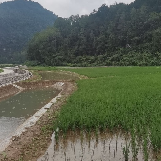 酉阳土地预售