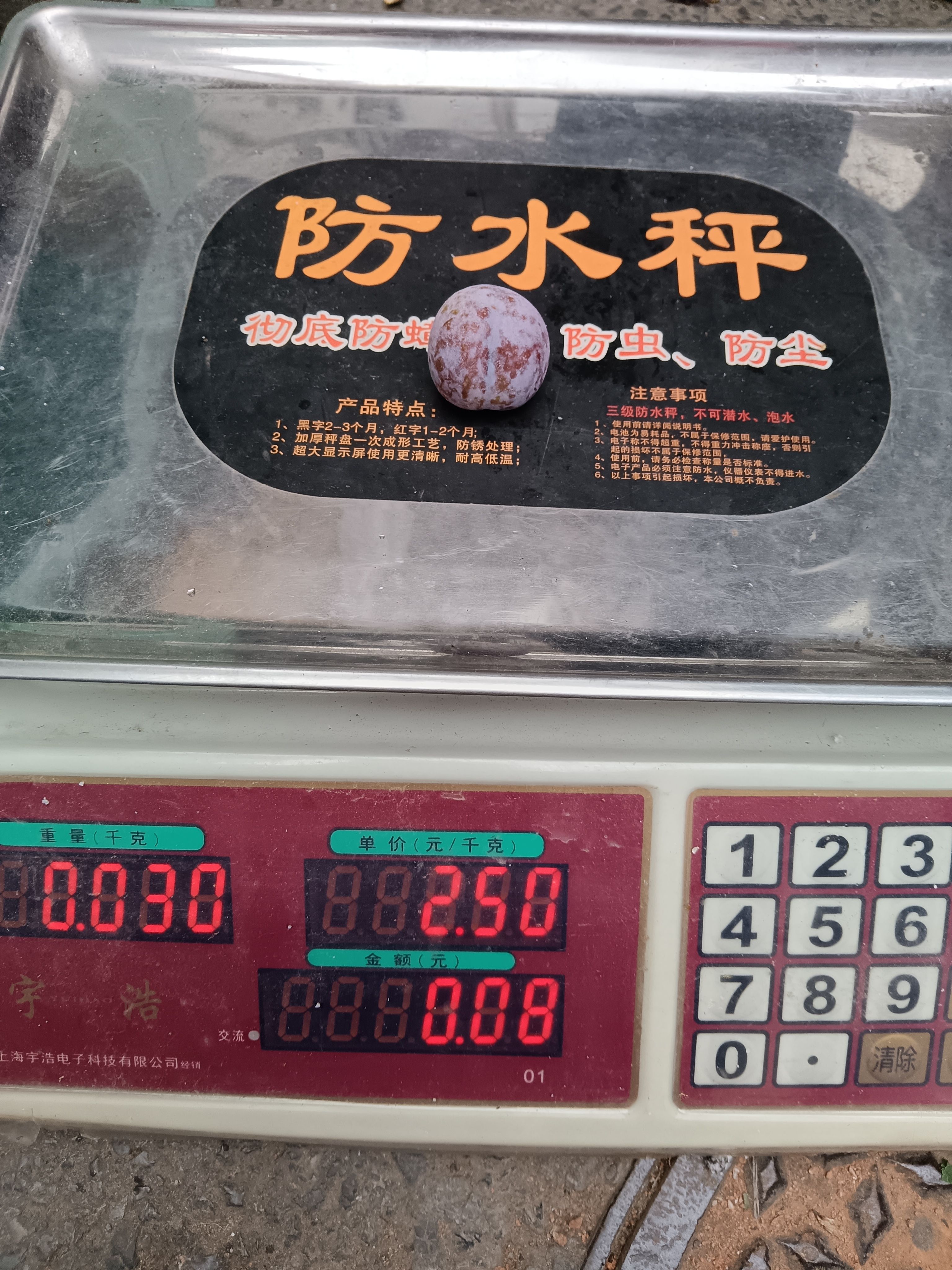宜宾叙州区李子脆红李水果脱骨