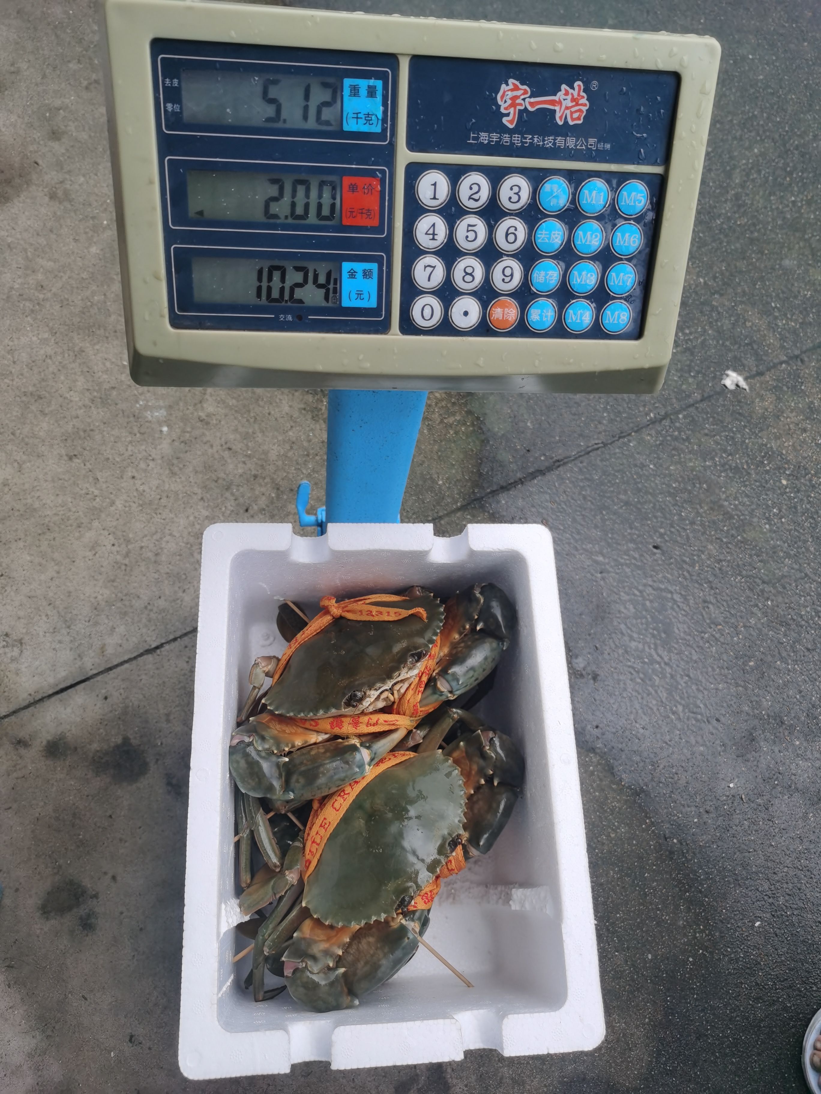 三门青蟹自产自销
