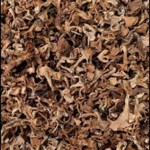 玉溪鸡油菌干货