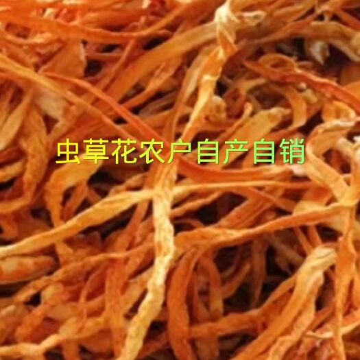 灯塔市虫草花批发干货北虫草土特产蛹虫草产地直销