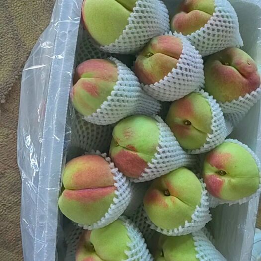 蒙自市枇杷等新鲜水果