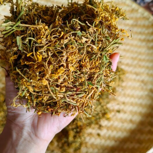 桂西原生金银花香味浓郁无枝叶500g，2023年漂亮的新货