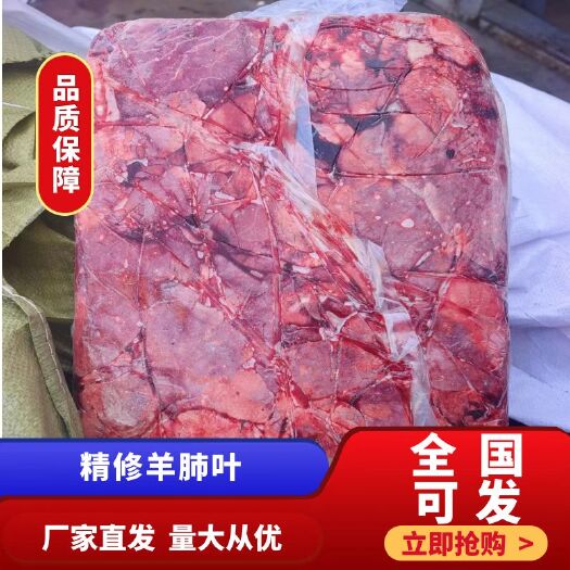 阳信县羊肺叶 精修羊肺叶