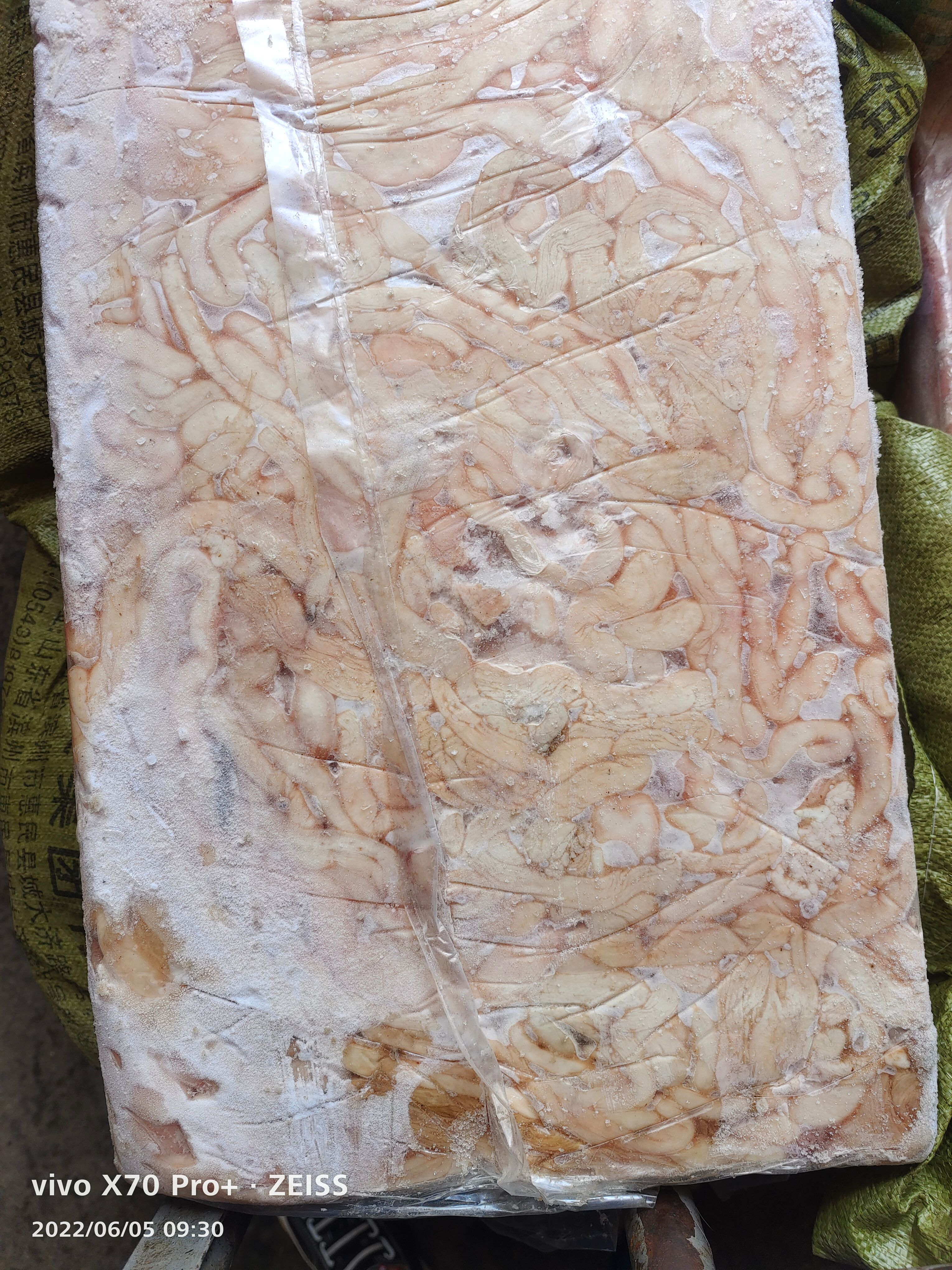 羊肠  羊盘肠  羊拐肠  羊肥肠