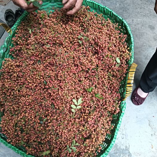 伊川县鲜花椒
