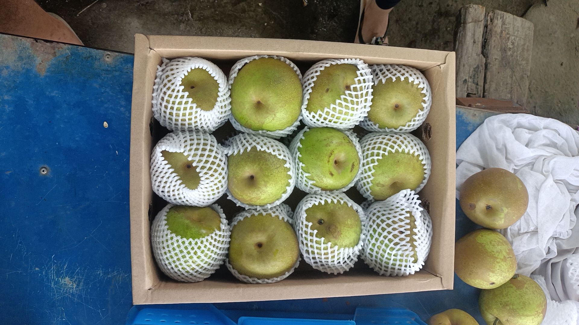 翠冠梨